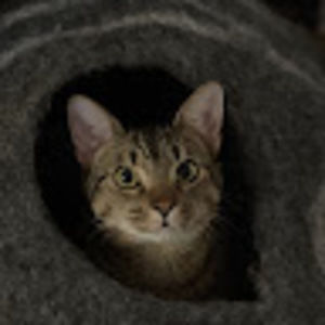 Meet your Posher, Kalena